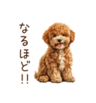 もふもふ☆トイプードル（個別スタンプ：13）