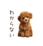 もふもふ☆トイプードル（個別スタンプ：15）