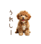 もふもふ☆トイプードル（個別スタンプ：18）