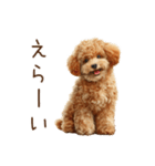 もふもふ☆トイプードル（個別スタンプ：24）