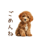 もふもふ☆トイプードル（個別スタンプ：26）