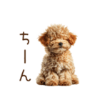 もふもふ☆トイプードル（個別スタンプ：27）