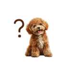 もふもふ☆トイプードル（個別スタンプ：28）