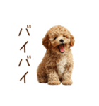 もふもふ☆トイプードル（個別スタンプ：31）