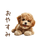もふもふ☆トイプードル（個別スタンプ：32）