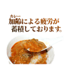 敬語カレー＆ナン（個別スタンプ：33）