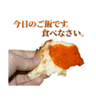 敬語カレー＆ナン（個別スタンプ：38）