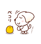 マルチーズ_モモのたのしい日々（個別スタンプ：9）