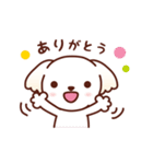 マルチーズ_モモのたのしい日々（個別スタンプ：13）