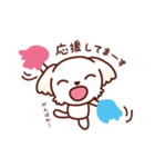 マルチーズ_モモのたのしい日々（個別スタンプ：23）