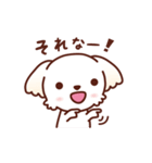 マルチーズ_モモのたのしい日々（個別スタンプ：33）