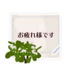 12月の誕生花＊メッセージスタンプ（個別スタンプ：3）