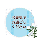 12月の誕生花＊メッセージスタンプ（個別スタンプ：14）