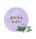 12月の誕生花＊メッセージスタンプ（個別スタンプ：24）