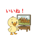 ぴよっと冬の日常会話＆お正月スタンプ（個別スタンプ：36）