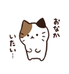 常にどこかしら悪いねこ（個別スタンプ：5）