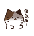 常にどこかしら悪いねこ（個別スタンプ：16）