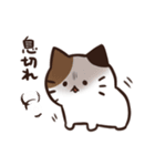 常にどこかしら悪いねこ（個別スタンプ：17）