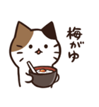 常にどこかしら悪いねこ（個別スタンプ：20）