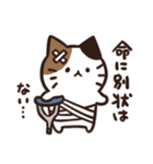 常にどこかしら悪いねこ（個別スタンプ：22）