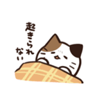常にどこかしら悪いねこ（個別スタンプ：23）
