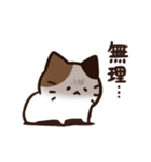 常にどこかしら悪いねこ（個別スタンプ：30）
