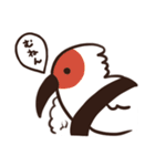 常にどこかしら悪いねこ（個別スタンプ：40）