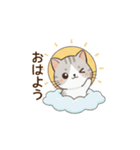 もちねこの日常会話（個別スタンプ：1）