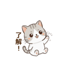 もちねこの日常会話（個別スタンプ：13）