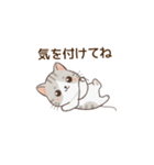 もちねこの日常会話（個別スタンプ：14）