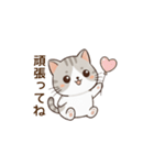 もちねこの日常会話（個別スタンプ：16）