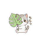 もちねこの日常会話（個別スタンプ：34）