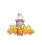 動く！踊る猫ミーム(パート30)（個別スタンプ：3）