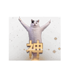 動く！踊る猫ミーム(パート30)（個別スタンプ：4）