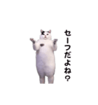 動く！踊る猫ミーム(パート30)（個別スタンプ：10）