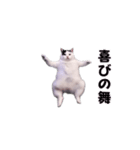 動く！踊る猫ミーム(パート30)（個別スタンプ：11）