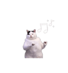 動く！踊る猫ミーム(パート30)（個別スタンプ：14）