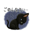 かわいい黒ねこスタンプ【日常会話】（個別スタンプ：11）