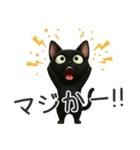 かわいい黒ねこスタンプ【日常会話】（個別スタンプ：19）