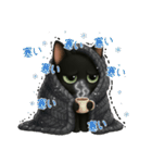 かわいい黒ねこスタンプ【日常会話】（個別スタンプ：30）