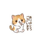 もちねこの敬語（個別スタンプ：5）