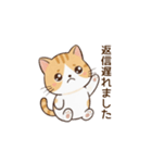 もちねこの敬語（個別スタンプ：11）