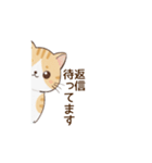 もちねこの敬語（個別スタンプ：12）