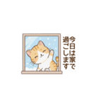 もちねこの敬語（個別スタンプ：34）