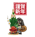 可愛い黒アメコカBIG年末年始（個別スタンプ：11）