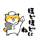 ふでしば【体調不良、気遣い】柴犬、筆文字（個別スタンプ：4）