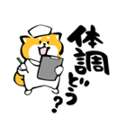 ふでしば【体調不良、気遣い】柴犬、筆文字（個別スタンプ：7）