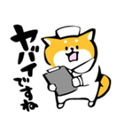 ふでしば【体調不良、気遣い】柴犬、筆文字（個別スタンプ：12）
