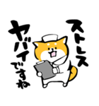 ふでしば【体調不良、気遣い】柴犬、筆文字（個別スタンプ：13）
