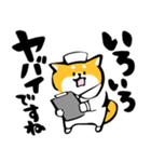 ふでしば【体調不良、気遣い】柴犬、筆文字（個別スタンプ：16）